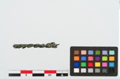 Foto von Bronzeschleifenbügelfibel (NHMW-PRAE-024981)
